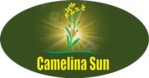 Camelina Sun